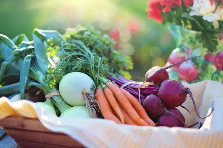 Read more about Projecte Això s’ho val: accés a un Dietista-Nutricionista per a persones amb situació econòmica desfavorable