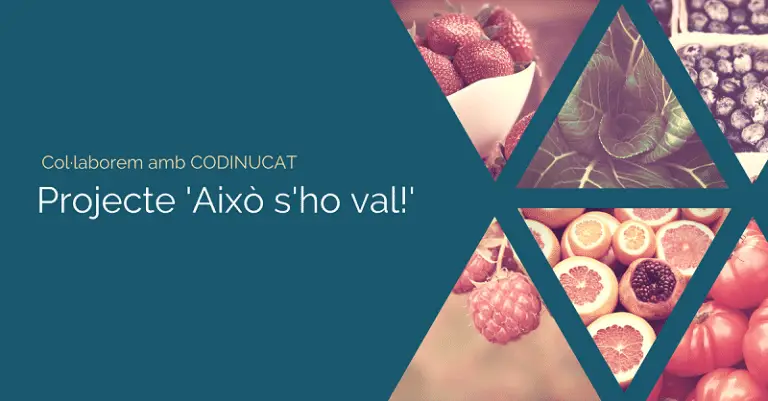 Read more about Projecte “Això s’ho val!” del Col·legi Oficial de Dietistes Nutricionistes de Catalunya