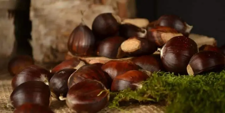 Read more about Gaudiu de la Castanyada sense gluten!