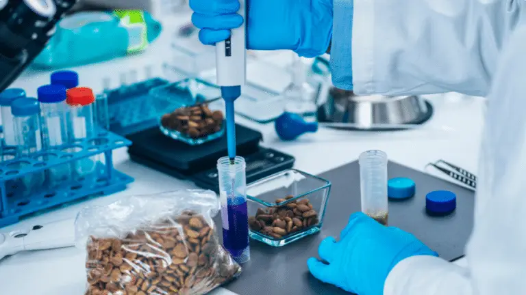 Read more about Tot i el balanç positiu dels controls de la gestió del gluten, cal estar atent a les espècies i a les infusions