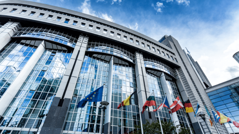 Portem al Parlament Europeu el bloqueig polític a Espanya i aconseguim que la petició es mantingui oberta amb el suport unànime dels grups polítics