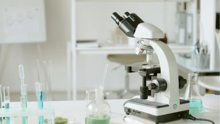 Read more about Nous tractaments per a la celiaquia: en quin punt està la recerca?